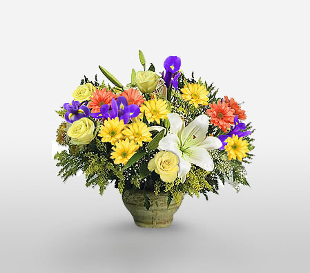 Kaapse Klopse-Blue,Mixed,Orange,White,Yellow,Chrysanthemum,Lily,Mixed Flower,Rose,Arrangement