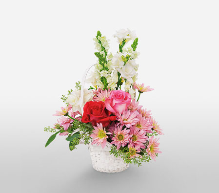 Joys Of Love-Mixed,Pink,Red,Freesia,Mixed Flower,Rose,Arrangement