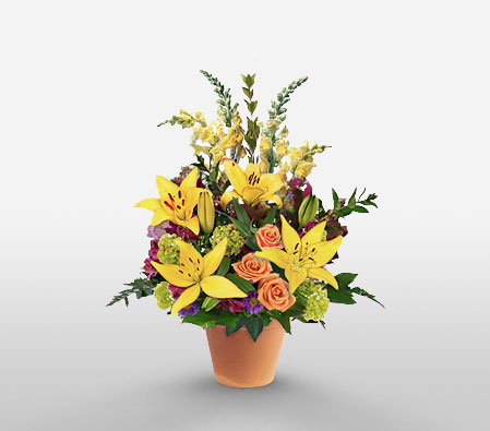 Greetings And Cheers-Orange,Yellow,Lily,Mixed Flower,Rose,Arrangement