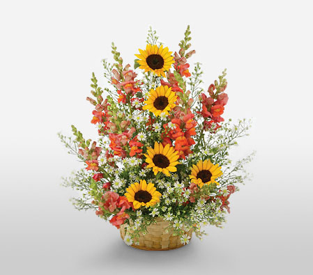 Sunrise Surprise-Mixed,Orange,White,Yellow,Mixed Flower,SunFlower,Arrangement
