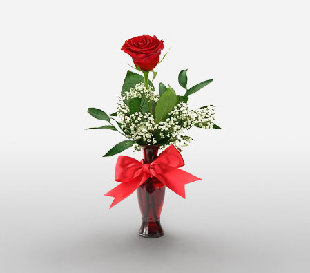My Queen - Red Rose Bouquet-Red,Rose,Arrangement