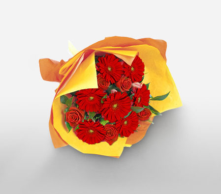 Collins Street-Red,Tulip,Rose,Mixed Flower,Gerbera,Bouquet