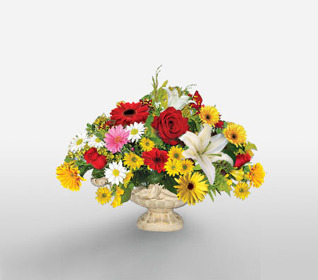 Pipas Perfection-Mixed,Red,White,Yellow,Daisy,Gerbera,Lily,Mixed Flower,Rose,Arrangement