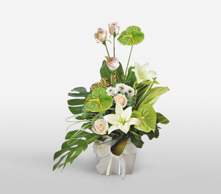 Grace-Green,Pink,White,Rose,Lily,Chrysanthemum,Anthuriums,Arrangement