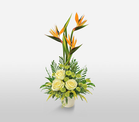 Elegance-Green,Orange,Yellow,Chrysanthemum,Birds of Paradise,Rose,Arrangement