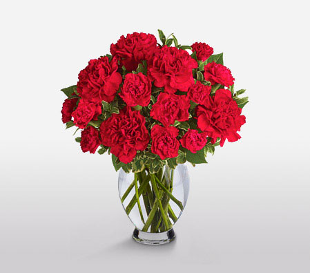 Celebration-Red,Carnation,Bouquet