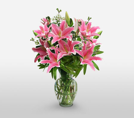 Dainty Pinks-Pink,Lily,Arrangement