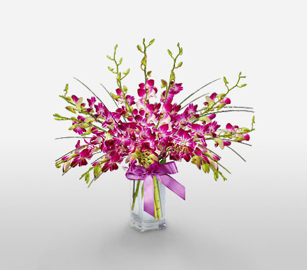 Birthday Flowers <Br><span>Orchids In Vase</span>