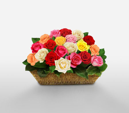 Rainbow Festival-Mixed,Pink,Red,White,Yellow,Rose,Arrangement,Basket