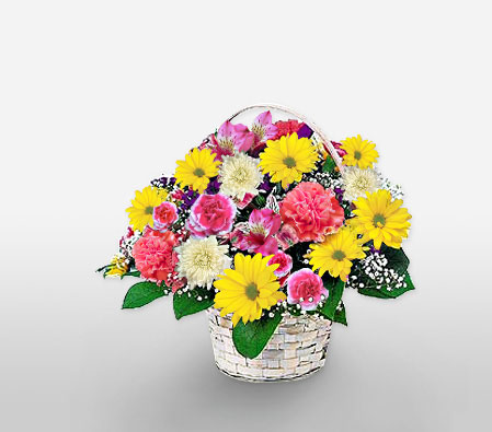 Alter Do Chao-Mixed,Pink,Yellow,Chrysanthemum,Daisy,Mixed Flower,Arrangement,Basket
