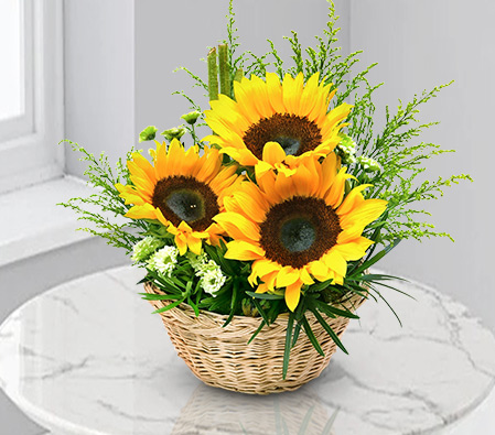 Golden Mile Sunflowers-Yellow,Orchid,SunFlower,Arrangement
