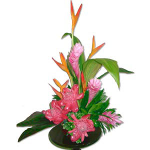 Barbados Beauty-Mixed,Pink,Mixed Flower,Arrangement