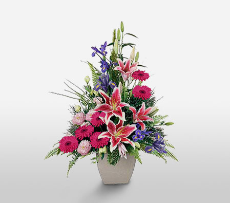 Mexico Magnificence-Pink,Carnation,Daisy,Gerbera,Lily,Mixed Flower,Rose,Arrangement