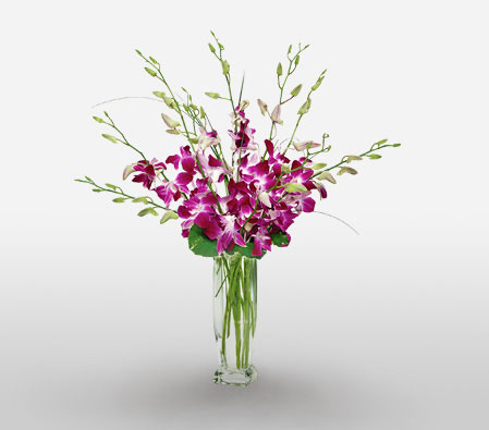 Divine Glory-Lavender,Pink,Purple,Orchid,Arrangement