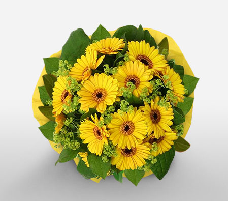 Sunblaze-Yellow,Daisy,Gerbera,Bouquet