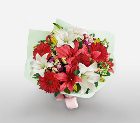 Full Of Wonder-Red,White,Daisy,Gerbera,Lily,Mixed Flower,Bouquet