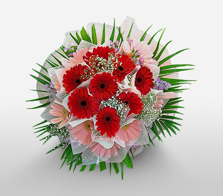 Thinking Of You-Green,Pink,Red,Daisy,Gerbera,Bouquet