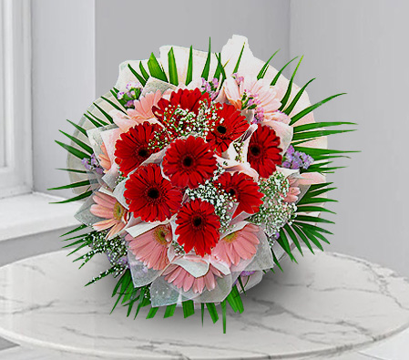 Thinking Of You-Green,Pink,Red,Daisy,Gerbera,Bouquet