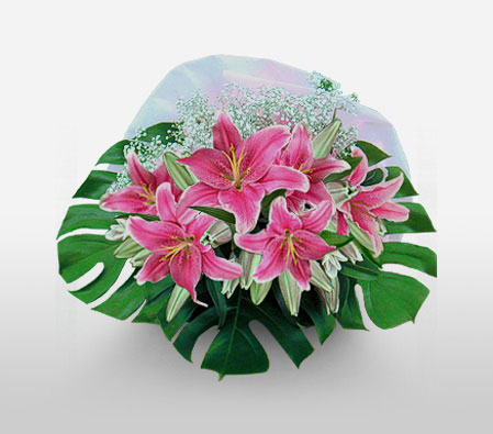 Pink Champagne-Green,Pink,Lily,Bouquet