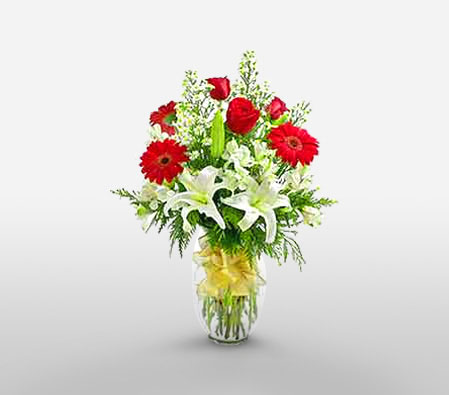 Pure Love-Green,Red,White,Gerbera,Lily,Rose,Bouquet