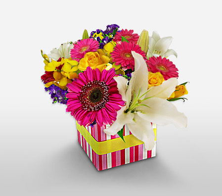 Aussie Funky Box-Mixed,Pink,White,Yellow,Gerbera,Iris,Lily,Mixed Flower,Rose,Arrangement