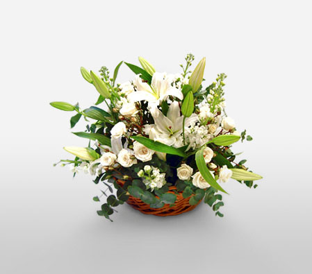 White Haven<Br><span>White Flower Basket</span>