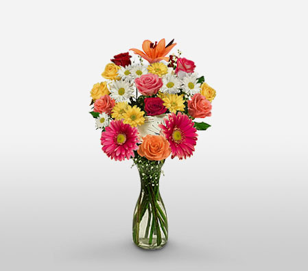 Zocalo Extravaganza-Mixed,Pink,White,Yellow,Daisy,Gerbera,Lily,Mixed Flower,Rose,Arrangement