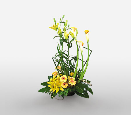 Colorful Smiles-Green,Yellow,Gerbera,Lily,Arrangement