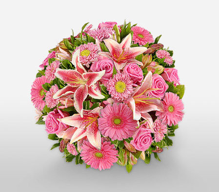 Pink A Boo-Pink,Daisy,Gerbera,Lily,Mixed Flower,Rose,Bouquet
