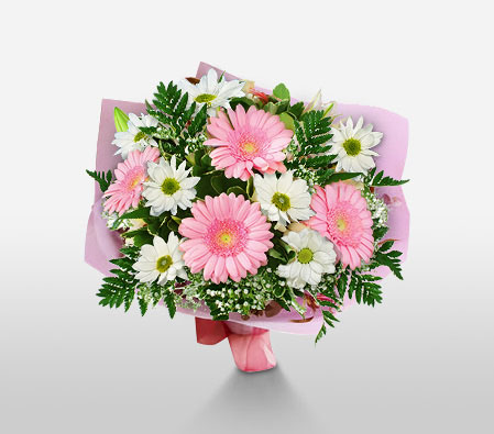 MUMbelievable-Mixed,Pink,White,Chrysanthemum,Gerbera,Mixed Flower,Basket