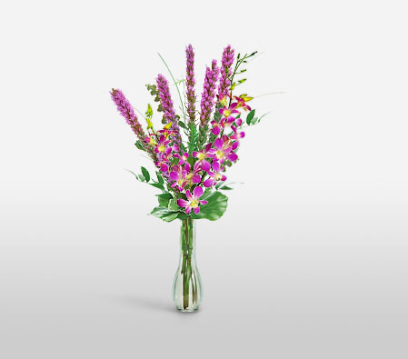 Oriental Delights-Pink,Orchid,Arrangement