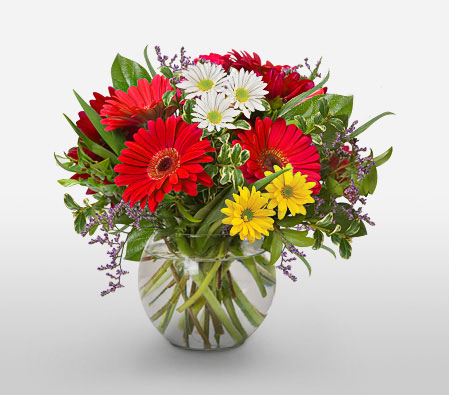 One Fine Day-Mixed,Red,White,Chrysanthemum,Gerbera,Bouquet