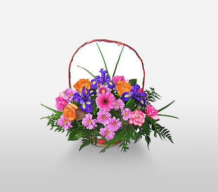 Basket of Love-Mixed,Gerbera,Iris,Mixed Flower,Rose,Arrangement,Basket