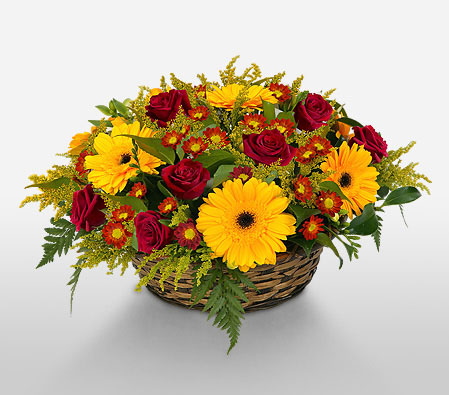 Rising Sun-Mixed,Red,Yellow,Chrysanthemum,Gerbera,Mixed Flower,Rose,Arrangement,Basket