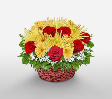 Basket Of Eden-Mixed,Red,Yellow,Chrysanthemum,Gerbera,Rose,Arrangement,Basket