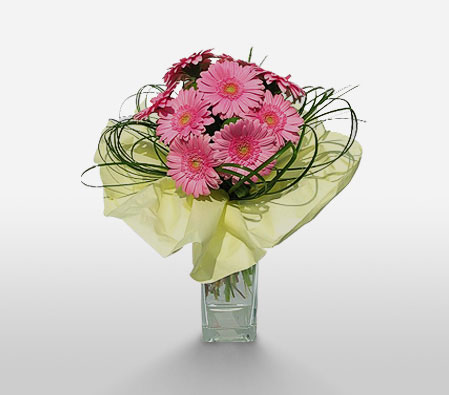 Royal Wilanow-Pink,Daisy,Gerbera,Bouquet