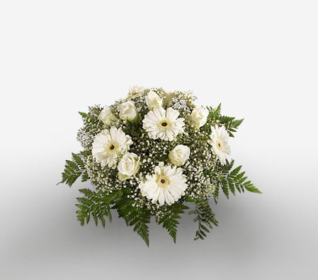 Winter Haven-White,Daisy,Gerbera,Rose,Bouquet