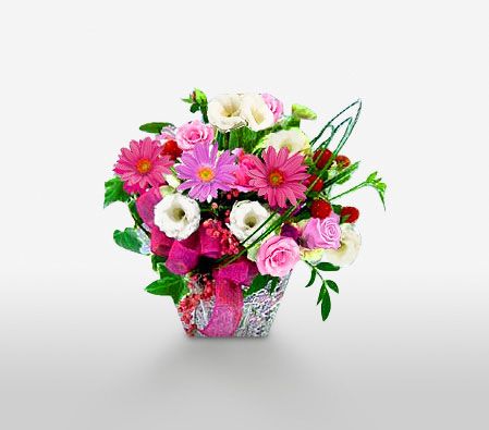 Floral Regards-Pink,Red,White,Carnation,Daisy,Gerbera,Arrangement,Basket