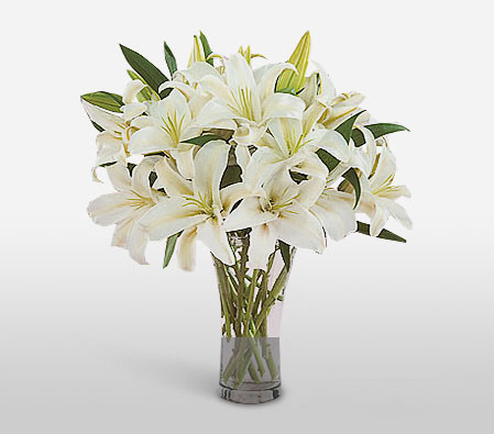 Pearl Perfection-White,Lily,Arrangement