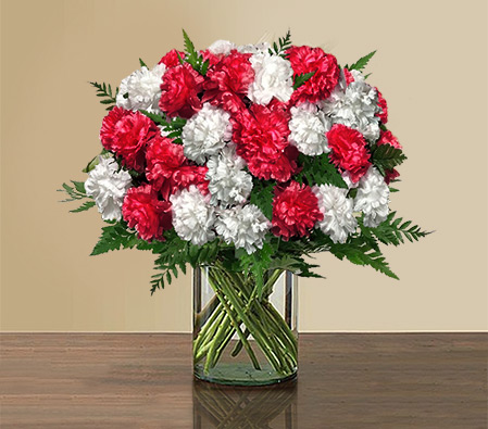 Cheerful Carnations-Red,White,Carnation,Bouquet