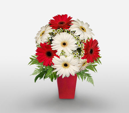 Wishes And Love-Mixed,Red,White,Gerbera,Arrangement