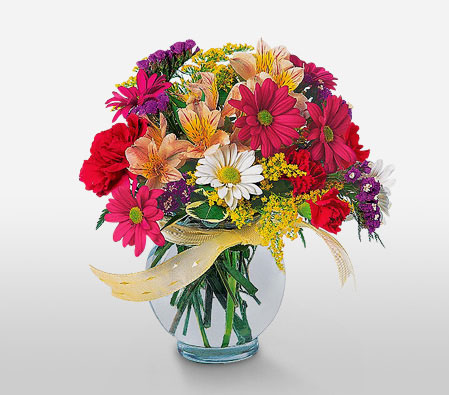 Colorful Birthday Flowers-Mixed,Pink,Red,Mixed Flower,Gerbera,Daisy,Chrysanthemum,Carnation,Arrangement