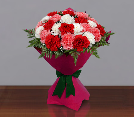 Carnation Carnival-Mixed,Pink,Red,White,Yellow,Carnation,Bouquet