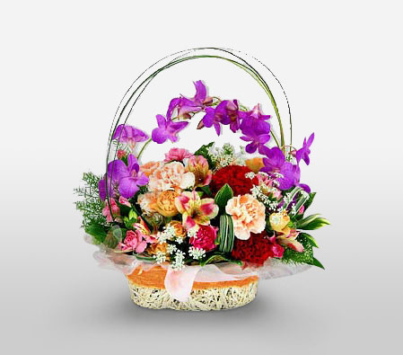 Queens Tiara-Mixed,Peach,Purple,Red,Alstroemeria,Carnation,Orchid,Arrangement,Basket