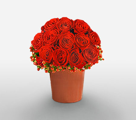 Durban Desire-Red,Rose,Arrangement