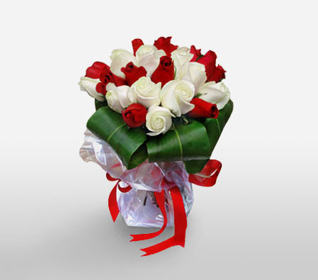 Shy Reds-Red,White,Rose,Bouquet
