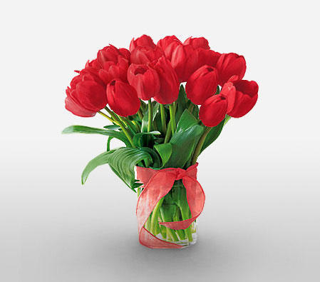 Vivacious Tulips-Red,Tulip,Bouquet