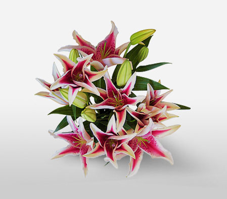 Starry Night - Lilies Bouquet-Pink,White,Lily,Bouquet