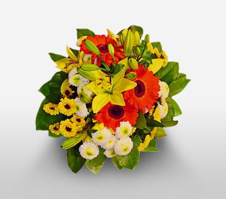 Sun Glow-Orange,White,Yellow,Chrysanthemum,Daisy,Gerbera,Lily,Mixed Flower,Arrangement