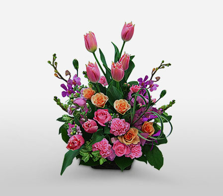 Dazzling Splendor-Pink,Mixed Flower,Rose,Arrangement,Basket